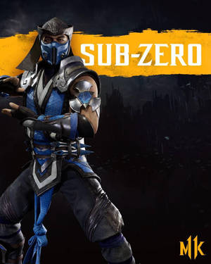 身穿藍色盔甲的 Sub-Zero 忍者角色，準備戰鬥。
