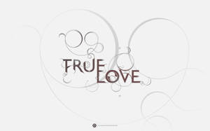 灰色背景上帶有旋轉線條的True love文字藝術