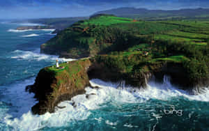 Bing 背景