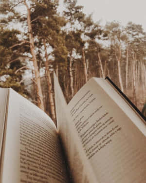 一本打開的書，上面有波蘭文文字，在陽光明媚的森林中，周圍是高聳的樹木。