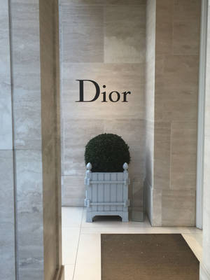 Dior商店入口，配以大理石牆壁和灰色花盆中的綠色盆景。