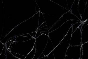 黑色背景上帶有白色裂紋的碎裂玻璃。 — Netflix GIF 壁紙