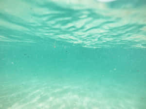 碧綠海洋水，帶有漣漪表面和水底漂浮粒子。 — 淺綠色美學動態圖 壁紙