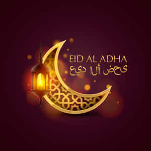 金色新月配燈籠，深栗色背景上寫有Eid Al Adha文字。 — iPad 第10代 壁紙