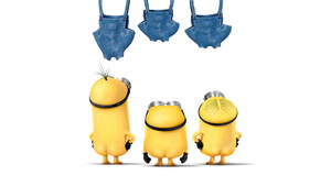 三個黃色卡通Minions仰望懸掛的牛仔工人褲。