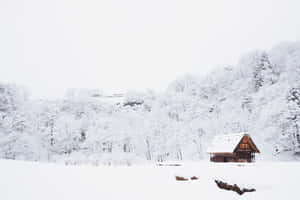 雪地冬日森林中的小木屋，周圍是白雪覆蓋的樹木。