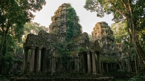 在日光下被叢林植被重新佔據的古老寺廟遺跡。