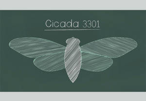 喺綠色黑板上面用粉筆畫咗一隻蟬，標示住 Cicada 3301。 — 火影忍者海報 壁紙