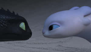 兩條龍在雪夜場景中對峙。 — 龍 壁紙