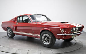 紅色經典Shelby GT350肌肉車，帶白色條紋，在工作室轉盤上。