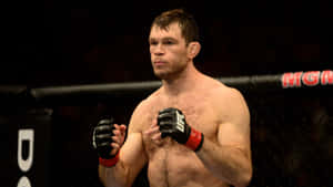 比賽期間，男性MMA拳擊手戴著手套站在八角籠內。