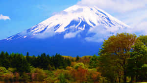 白雪覆蓋的富士山在明亮的藍天下，高聳於色彩繽紛的秋樹之上。