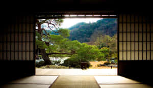 透過日式障子門睇到一個寧靜嘅花園，有松樹同埋樹林覆蓋嘅山丘。