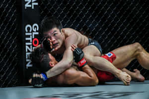 兩名男性拳手在MMA籠內陷入纏鬥。