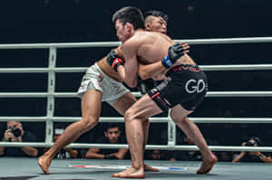 兩名男拳手在專業MMA擂台上陷入纏鬥比賽。