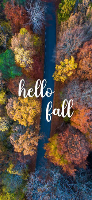 秋日森林的俯瞰圖，有蜿蜒道路和hello fall文字。