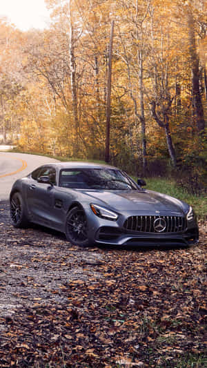 灰色Mercedes-AMG GT停泊在近秋林、鋪滿落葉的碎石路上。 — 灰色 GIF 壁紙