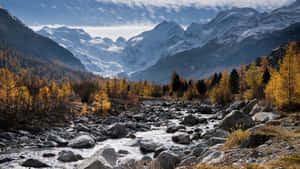 一條多石的河流流經秋林，背景是雪覆蓋的山脈。