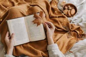 舒適的秋日閱讀場景，雙手捧著書、樹葉、毛毯和仙女燈。 — 桌面美學 壁紙