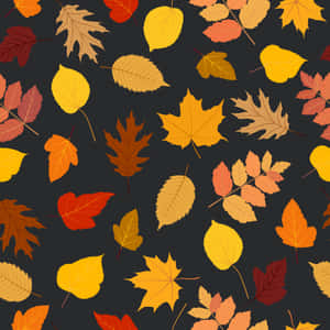 深色背景上的橙色、黃色和紅色秋葉