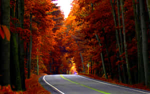 蜿蜒的道路穿過充滿活力的秋日森林，樹葉呈現橙色和紅色。
