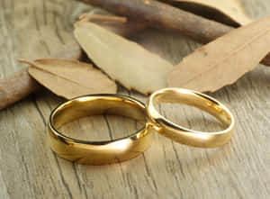 木頭上的兩枚金色結婚戒指，搭配乾樹葉和樹枝。