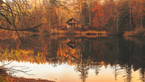 秋林中的舒適小屋倒映在平靜湖面，金色黃昏。 — 森林景色 壁紙