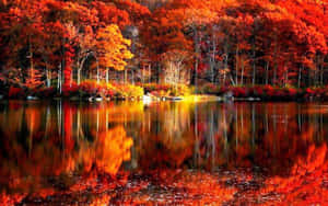 秋林倒映在平靜的湖面上，帶有火紅橙色的樹葉。 — 秋天 壁紙