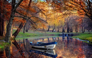 一艘藍色划艇在靜止的池塘上，在秋樹下，樹葉呈現鮮豔的橙色和金色。 — 秋天 壁紙