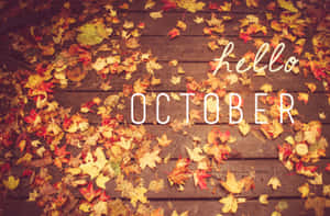 木甲板上的秋葉與hello october文字疊加