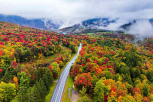 一條蜿蜒的道路穿過色彩繽紛的秋日森林，有山巒和雲朵。