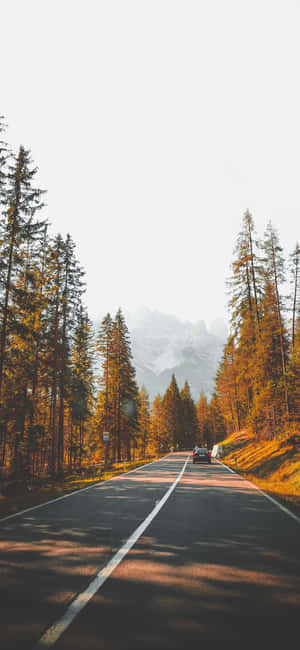 在黃金時段，一輛汽車沿著風景如畫的森林道路行駛，遠處有山巒。