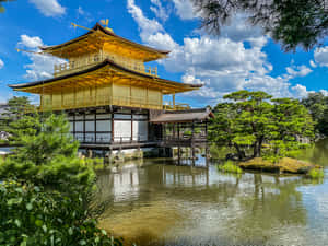金色寺廟倒映喺池塘，周圍係綠樹，藍天之下 — 日本 壁紙