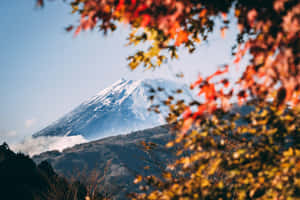 透過色彩繽紛的秋葉看到山頂積雪的富士山。