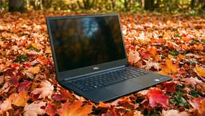 森林中色彩繽紛的秋葉上的黑色 Dell 手提電腦
