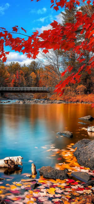 秋日河流景色，有紅色楓葉和木橋，藍天 — 秋天 壁紙