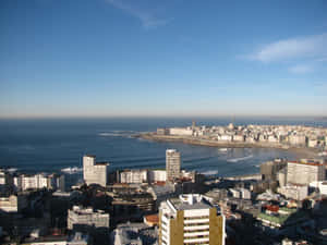 沿海城市景觀，建築物沿著沙灘和海洋分佈，天空清澈湛藍。