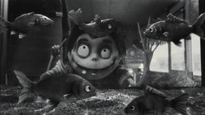 一個頭頂有魚的小孩透過魚缸玻璃看著游動的金魚。