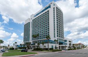 白色Omni Hotel，有棕櫚樹和多雲的天空 — 雲朵 壁紙