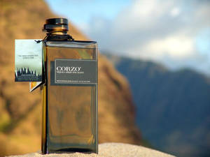 Corzo龍舌蘭酒瓶放在岩石山架上，背景有山和雲。