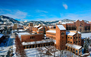 白雪覆蓋的大學校園，磚砌建築和背景中的山脈。 — 雪 壁紙