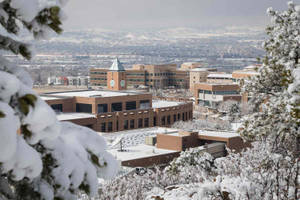 積雪的松樹框住一個大學校園，內有磚砌建築和鐘樓。 — 冬天 壁紙