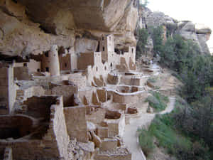 古代懸崖住宅，建在砂岩懸崖中，石徑蜿蜒穿過綠意。