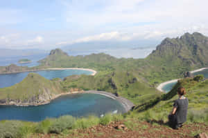 人坐在懸崖邊緣俯瞰海岸海灣和綠色山脈