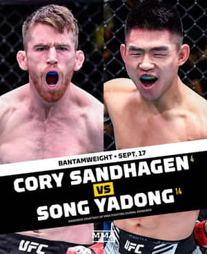 兩位男性MMA拳手在UFC賽事中於籠內大喊。 — Galaxy Z Fold 5 壁紙