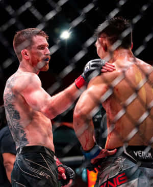 兩名筋疲力竭的MMA拳手，臉部和身體沾滿鮮血，身處八角籠內。