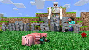 Minecraft玩家手持劍，站在豬和骷髏旁邊的草地上。