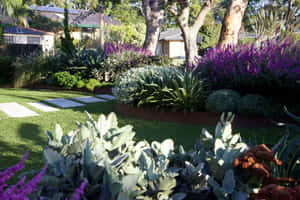 一個充滿活力的花園，在明亮的陽光下有紫色的花朵、綠色的草地和石徑。