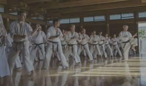 身穿白色道服的武術家在木製道場中練習同步動作。