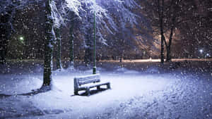 冬季公園夜晚，雪覆蓋的長椅，飄雪和路燈。